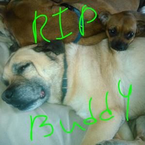 Meet your Posher, Mike